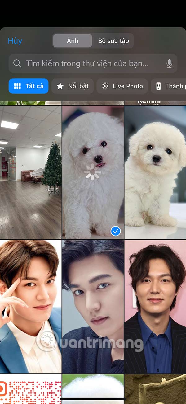 How to Receive Full Screen Calls on iPhone Picture 10