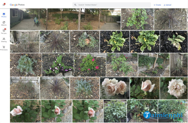 How to recover deleted photos on iPhone X, iPhone 11 Picture 3