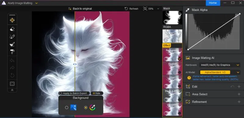 How to Remove Photo Background Easily with Aiarty Image Matting Picture 7