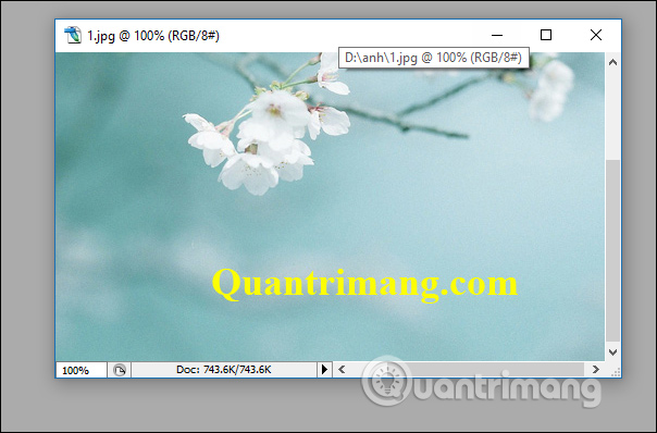 Picture 1 of How to remove text from an image using Photoshop - Using the text removal tool