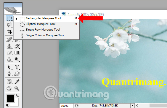Picture 2 of How to remove text from an image using Photoshop - Using the text removal tool