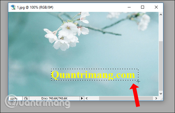 Picture 3 of How to remove text from an image using Photoshop - Using the text removal tool