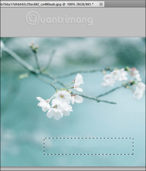 Picture 7 of How to remove text from an image using Photoshop - Using the text removal tool