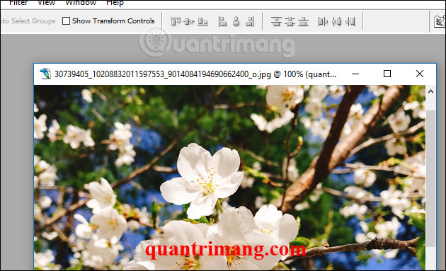 Picture 8 of How to remove text from an image using Photoshop - Using the text removal tool