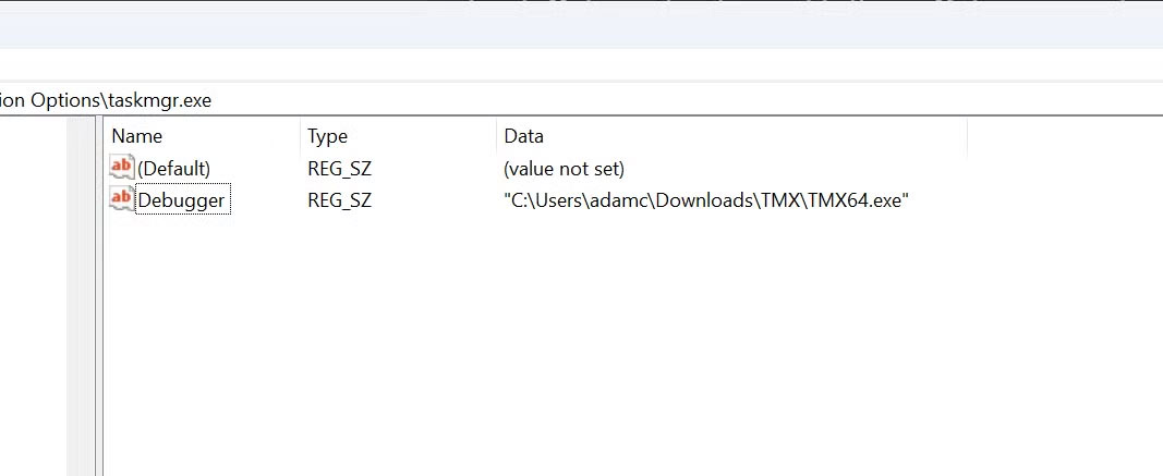 How to replace Task Manager with Task Manager Deluxe Picture 3