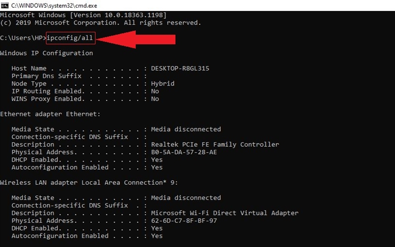reset ip cmd command