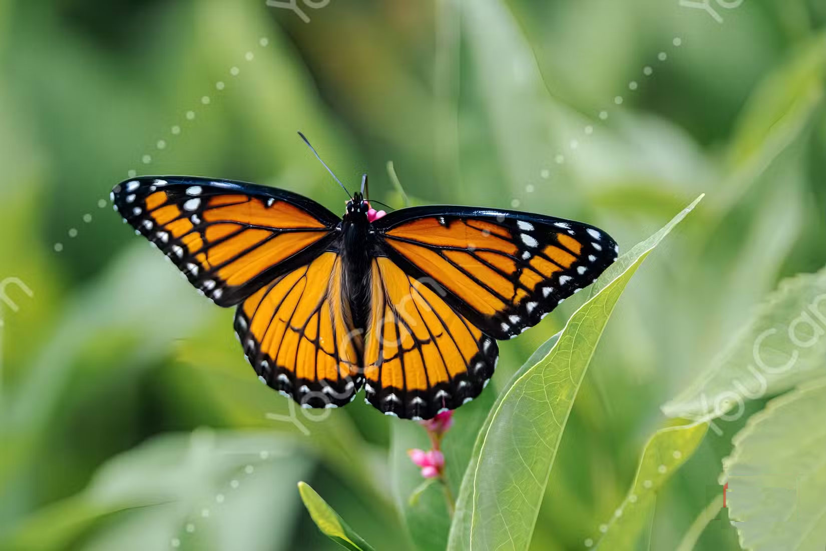 How to Perfectly Restore Damaged Photos with Pixelcut Picture 2