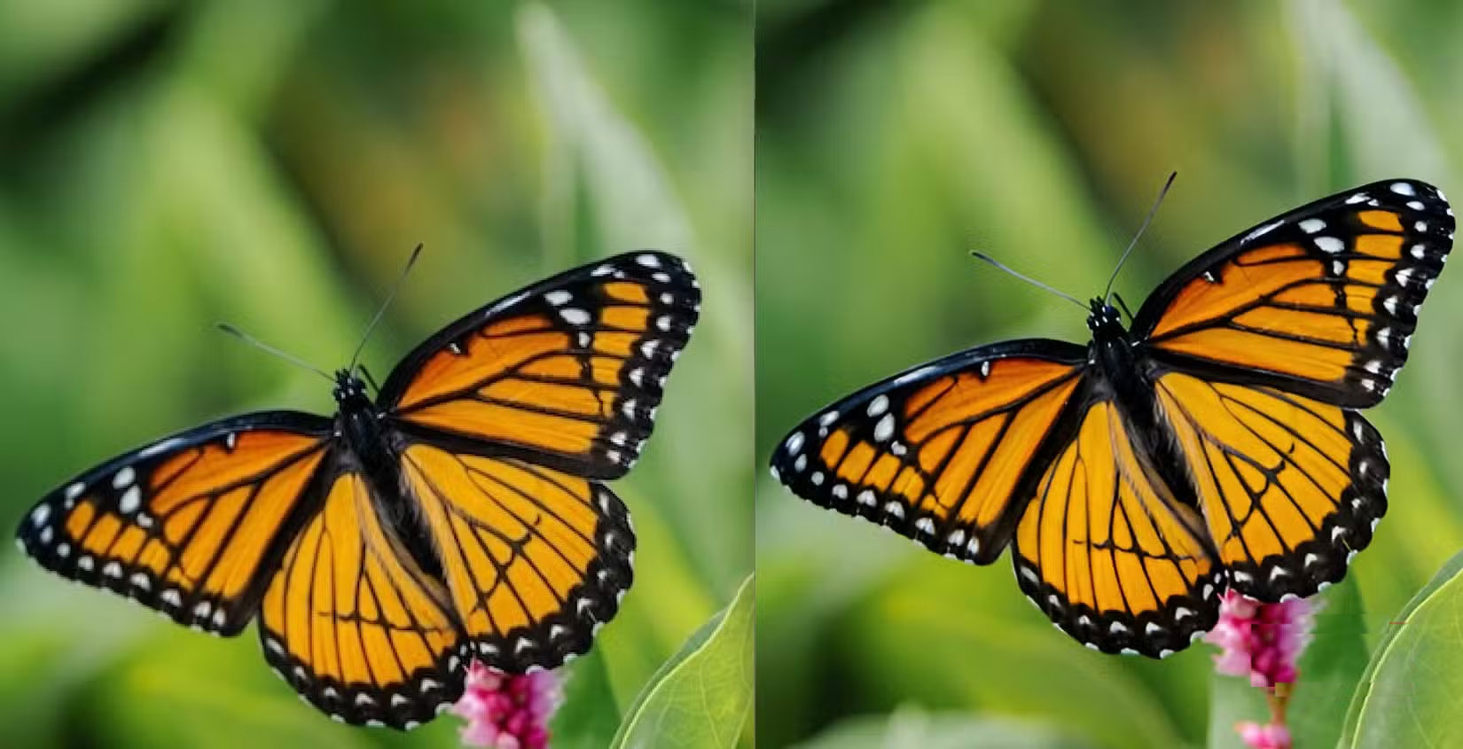 How to Perfectly Restore Damaged Photos with Pixelcut Picture 3