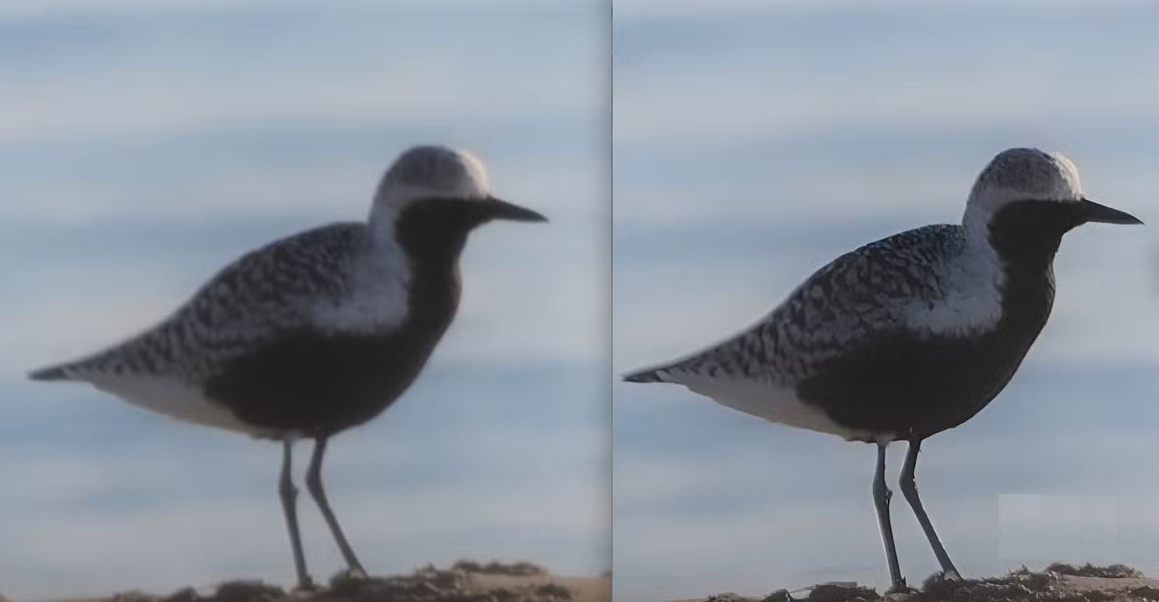 How to Perfectly Restore Damaged Photos with Pixelcut Picture 4