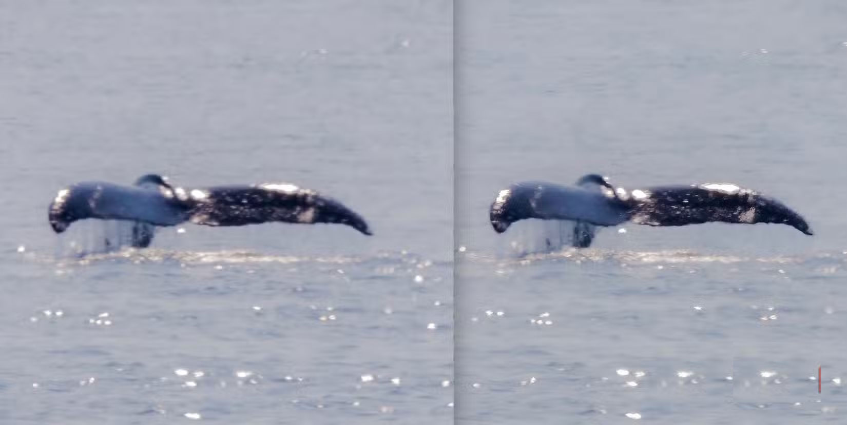 How to Perfectly Restore Damaged Photos with Pixelcut Picture 5