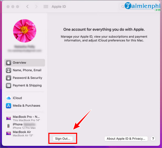 How to restore factory settings on Macbook, Reset the computer to its original state Picture 3