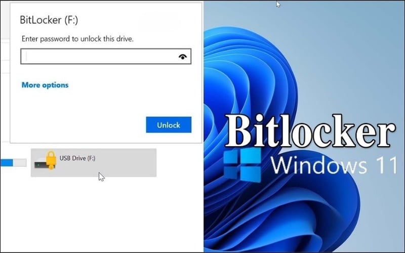 images 9 of How to safely and easily recover data from a damaged laptop hard drive.