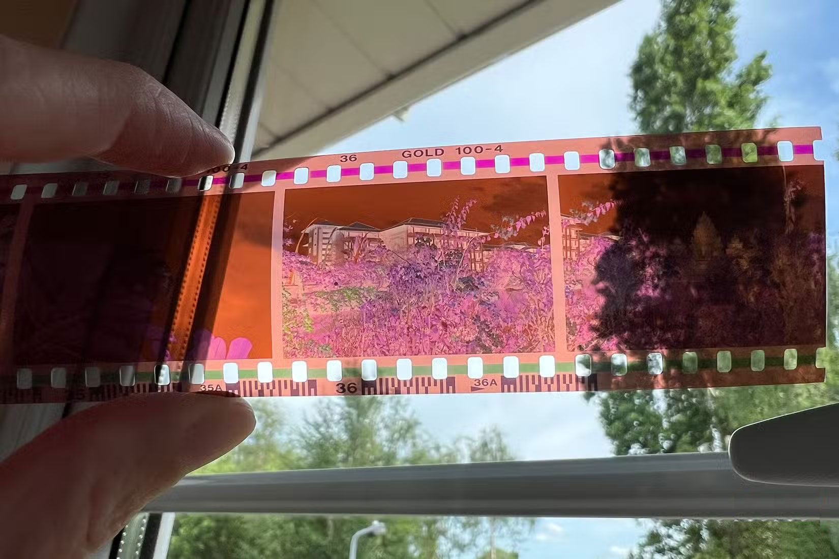 How to scan old photos with your phone Picture 5