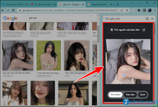 Picture 10 of How to search by image on a computer or phone.