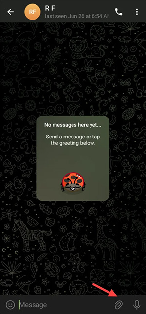 How to send self-deleted photos on Telegram without secret chat Picture 1