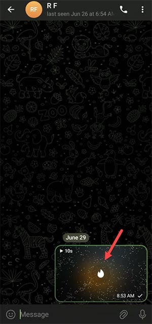 How to send self-deleted photos on Telegram without secret chat Picture 4