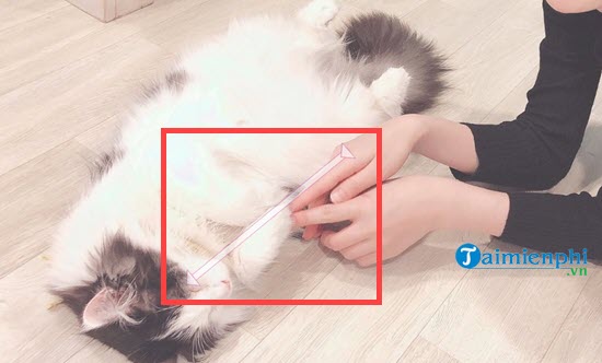 How to set a Windows 10 password, set a password for Windows 10 computer Picture 15