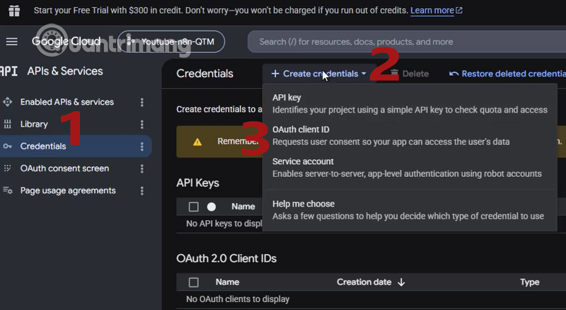 images 7 of How to set up a YouTube node connection on n8n
