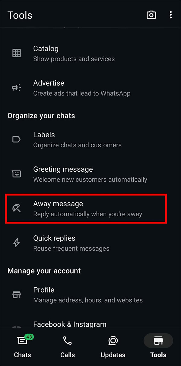 How to set up away message on WhatsApp Picture 1