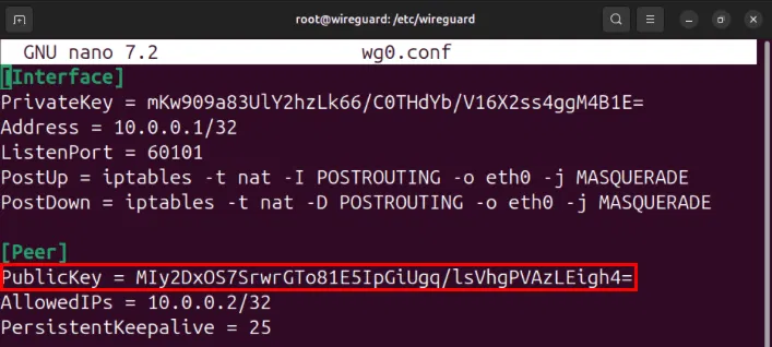 How to set up Wireguard VPN on Linux Picture 12