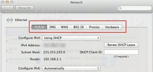 Picture 8 of How to speed up your internet on a Mac