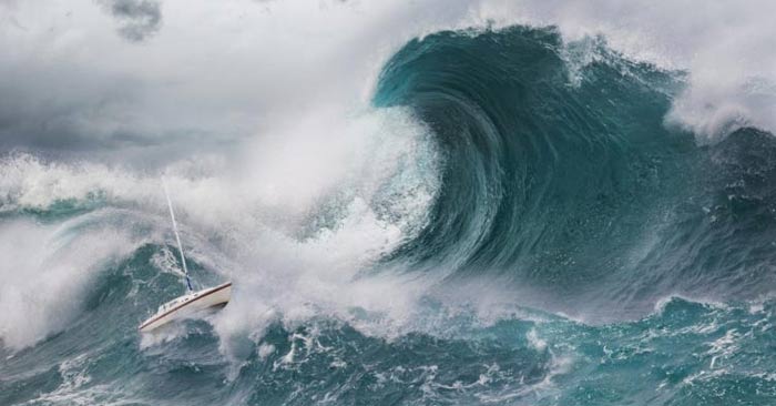 How to survive a tsunami Picture 1