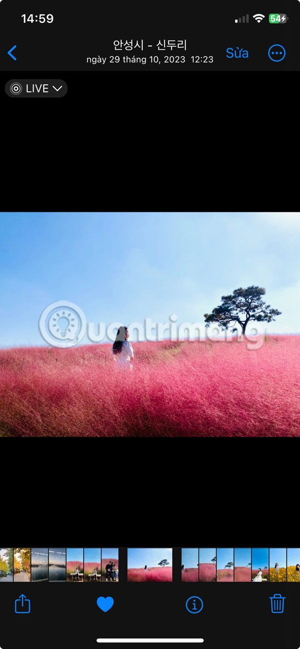 How to take better Live Photos on iPhone Picture 10