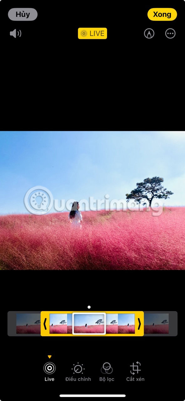 How to take better Live Photos on iPhone Picture 11