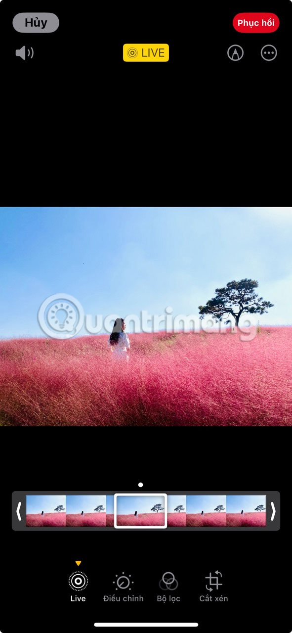 How to take better Live Photos on iPhone Picture 7