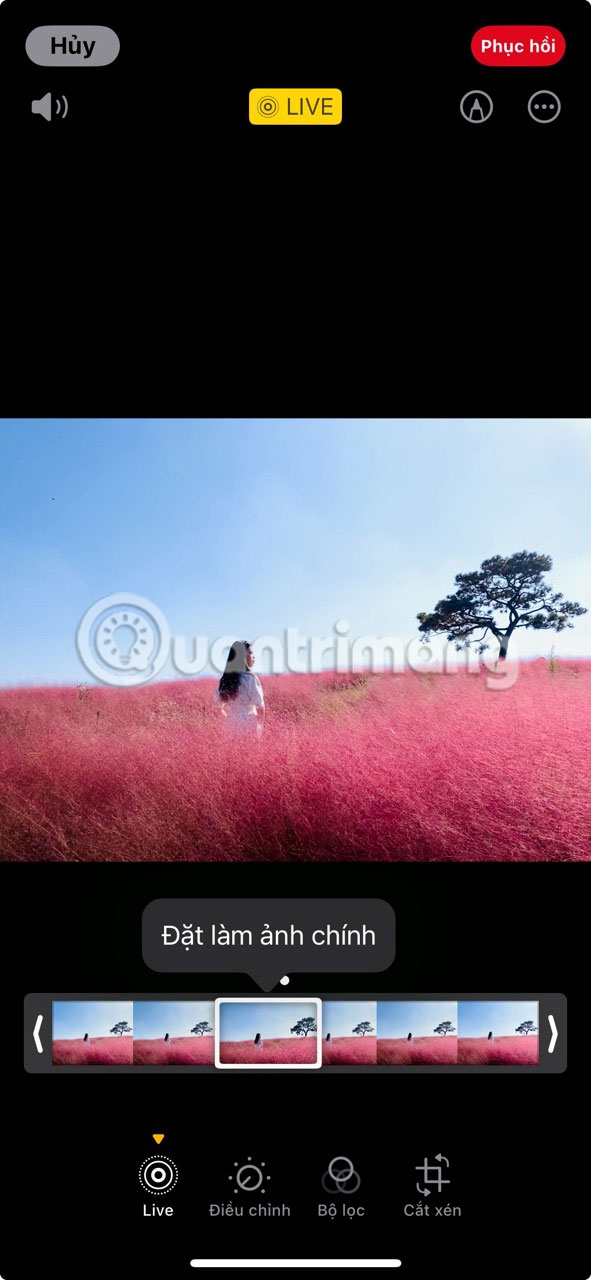 How to take better Live Photos on iPhone Picture 8