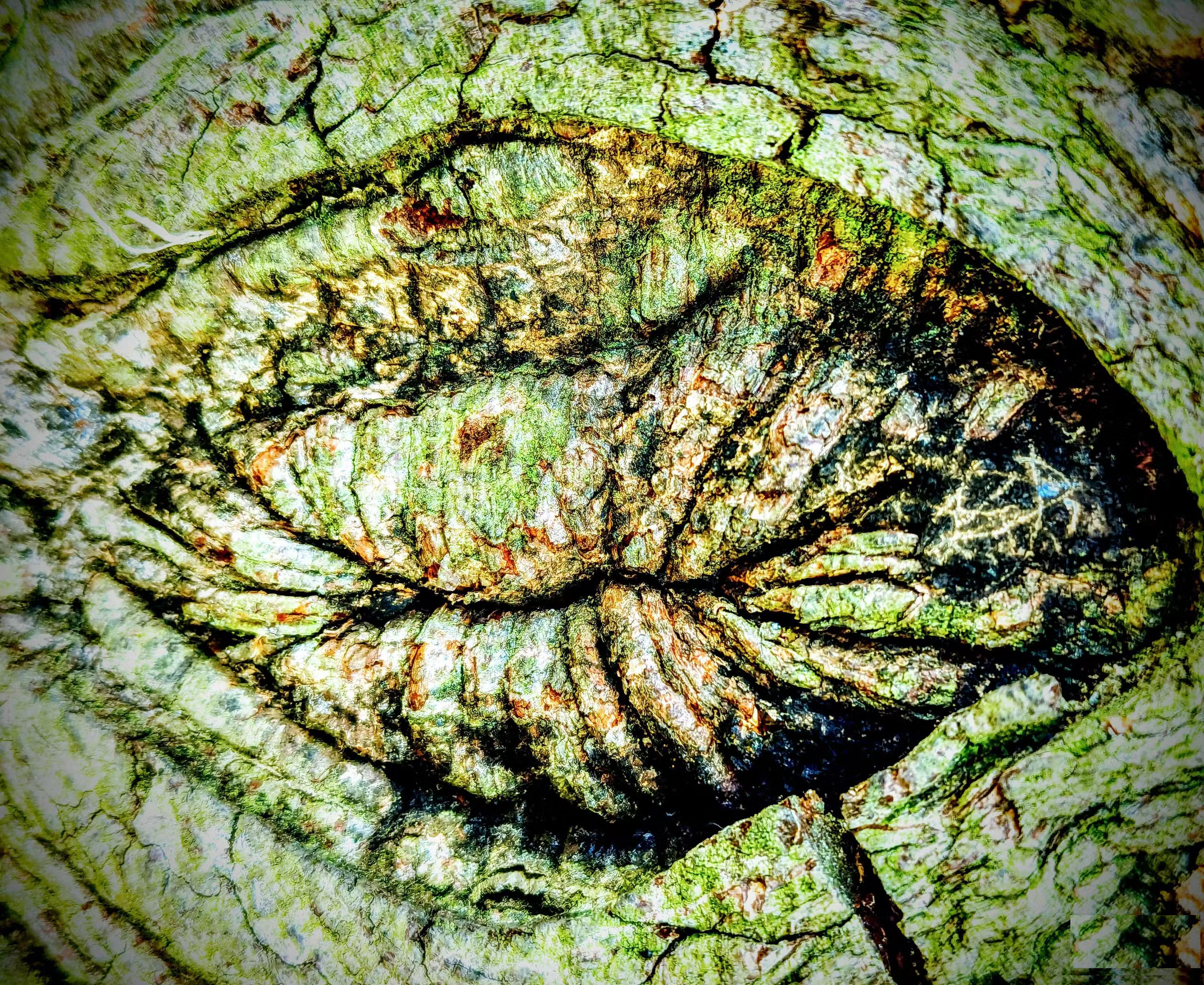 How to take interesting abstract photos on smartphones Picture 3