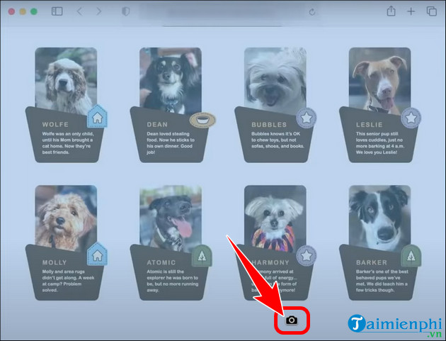 How to take screenshots by region on Macbook, Windows Picture 13