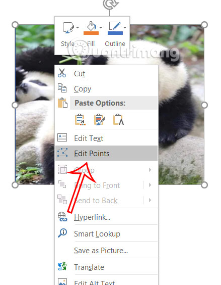 How to skew images in PowerPoint Picture 5