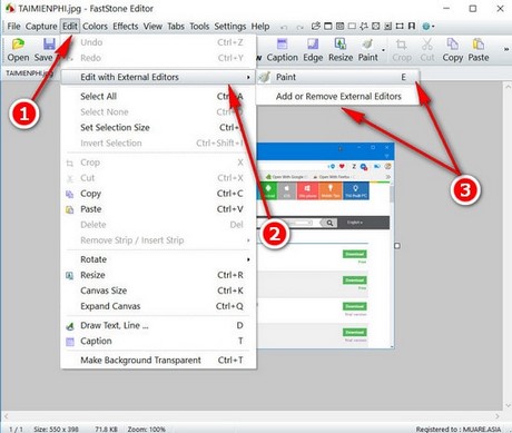 Picture 2 of How to transfer images from FastStone Capture to Paint, Word, Excel, PowerPoint, and the web.