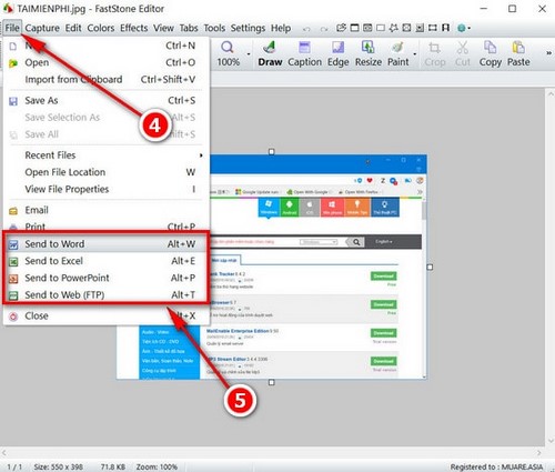 Picture 4 of How to transfer images from FastStone Capture to Paint, Word, Excel, PowerPoint, and the web.