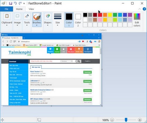 Picture 5 of How to transfer images from FastStone Capture to Paint, Word, Excel, PowerPoint, and the web.