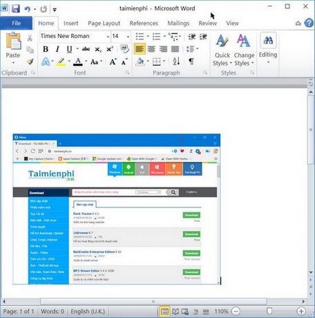 Picture 6 of How to transfer images from FastStone Capture to Paint, Word, Excel, PowerPoint, and the web.