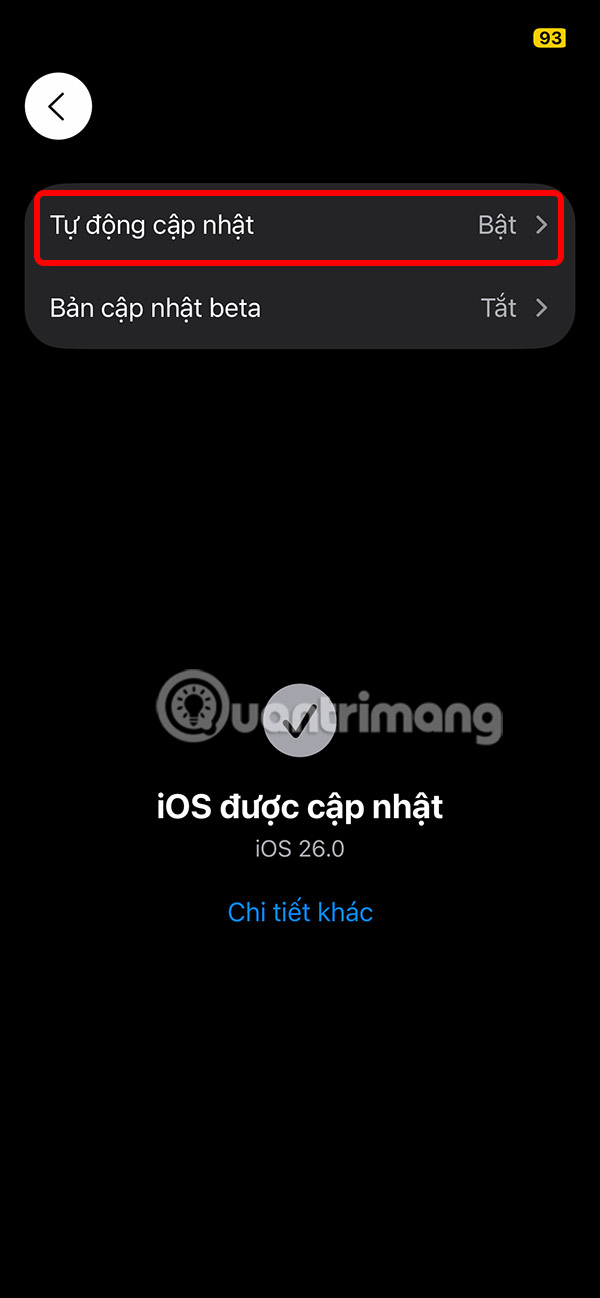 How to turn off automatic iOS 26 updates on iPhone Picture 3