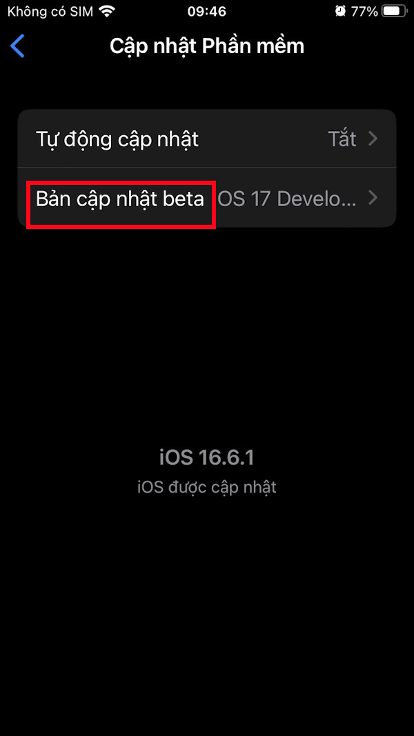 How to turn off beta updates on iPhone Picture 3