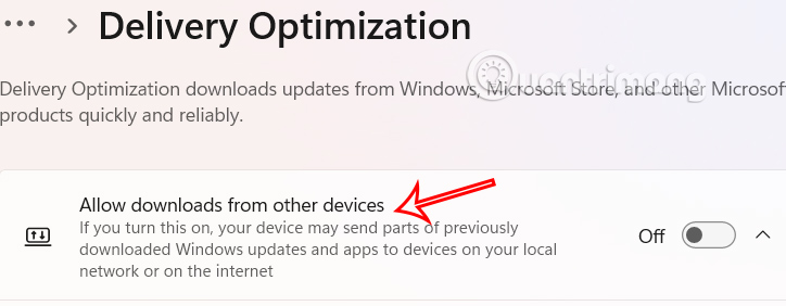 How to turn off Delivery Optimization on Windows 11 Picture 4