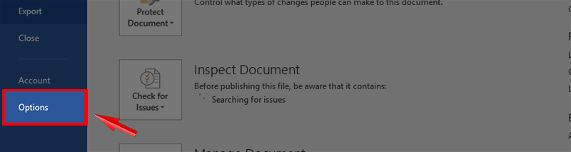 How to turn off spell check in Word - Turn off red underline in Word Picture 3