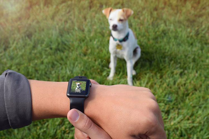 images 1 of How to use Apple Watch to take photos remotely on iPhone
