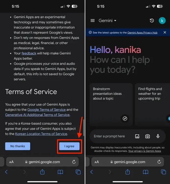 How to use Chatbot AI Gemini on iPhone Picture 4