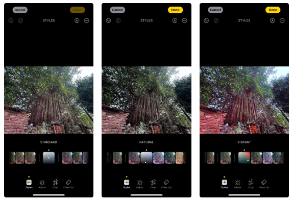 How to Use iPhone 16's Photographic Styles Picture 3