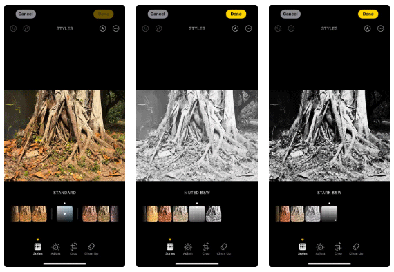 How to Use iPhone 16's Photographic Styles Picture 4