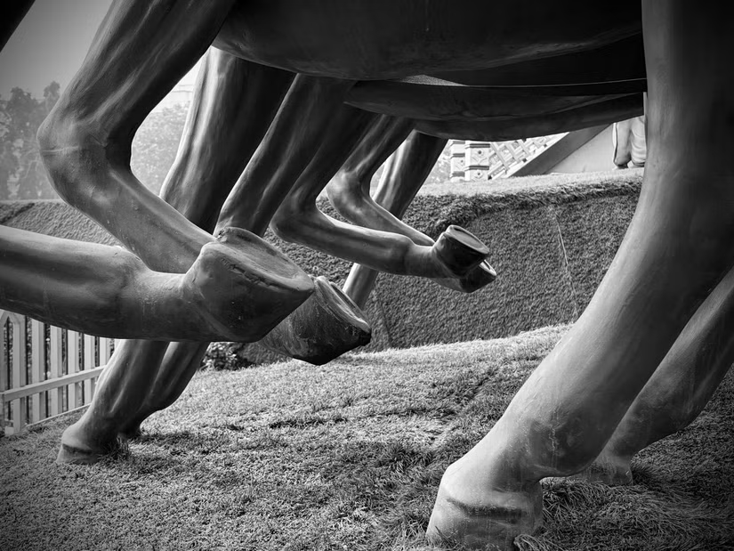 How to Use iPhone 16's Photographic Styles Picture 6