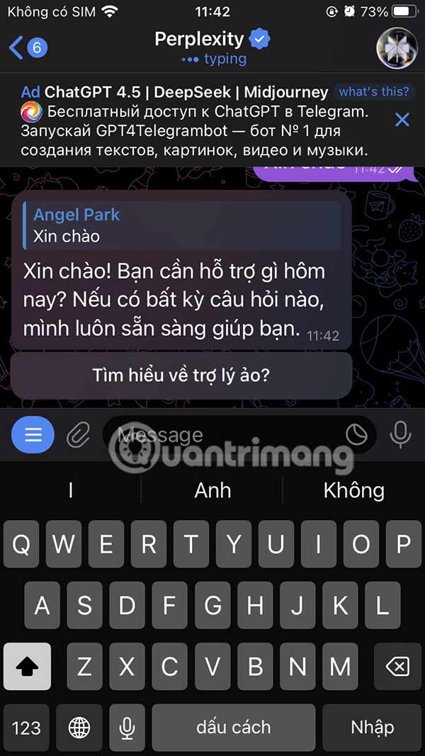 How to Use Perplexity in Telegram Picture 5
