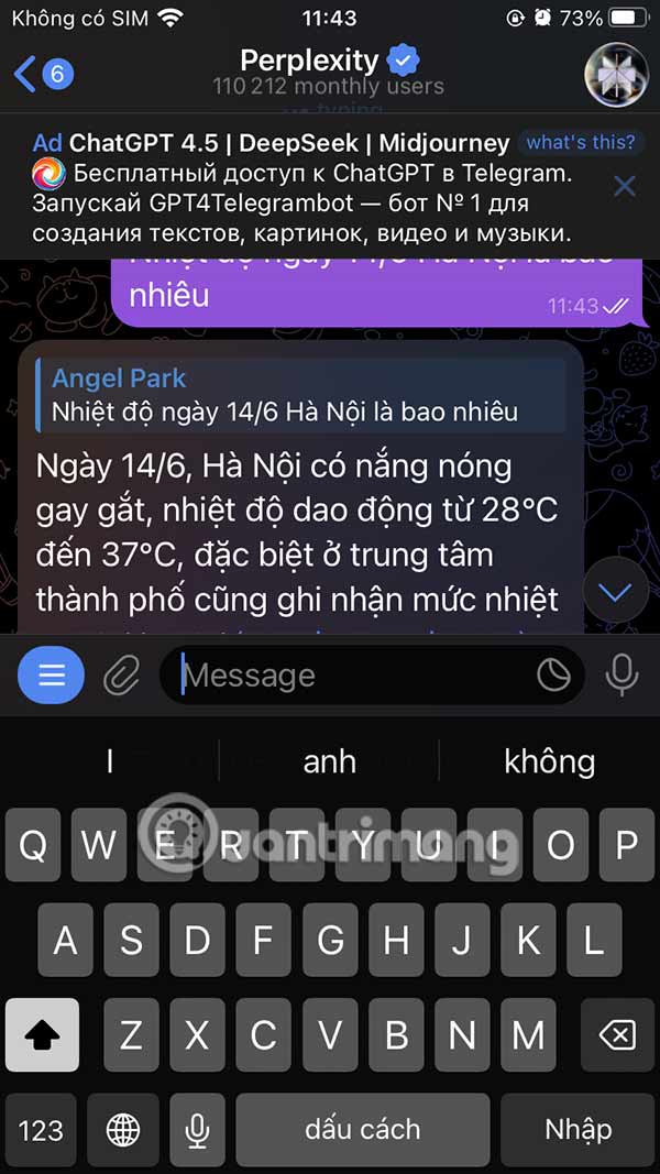 How to Use Perplexity in Telegram Picture 6