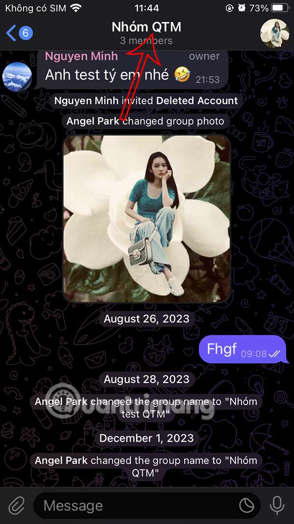 How to Use Perplexity in Telegram Picture 7