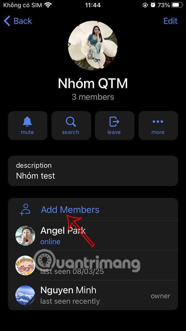 How to Use Perplexity in Telegram Picture 8